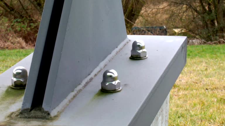 Best Biohazard Mold Removal  in Stanley, NC